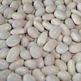 Фотография Продам фасоль