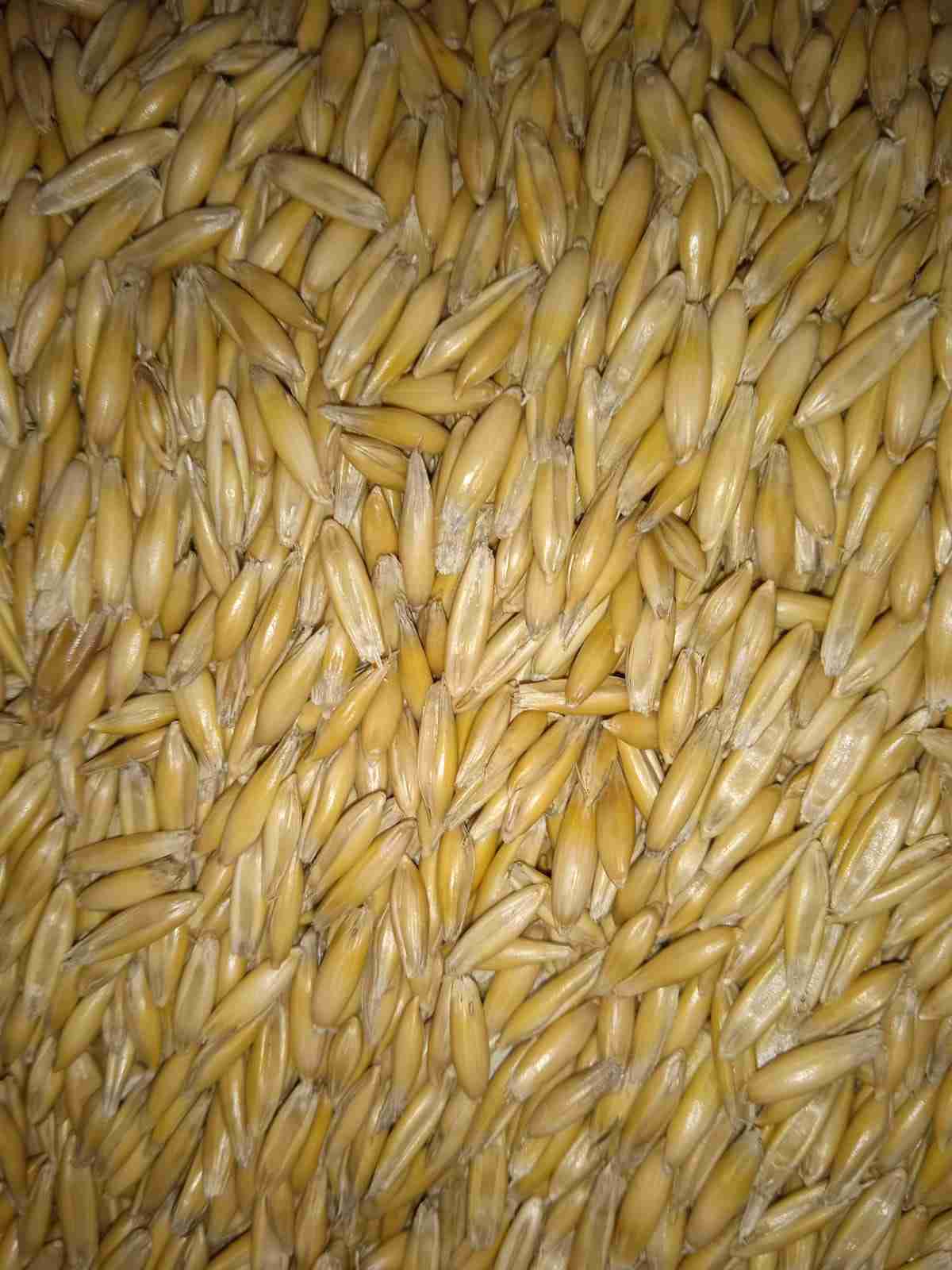 Слайдер слева