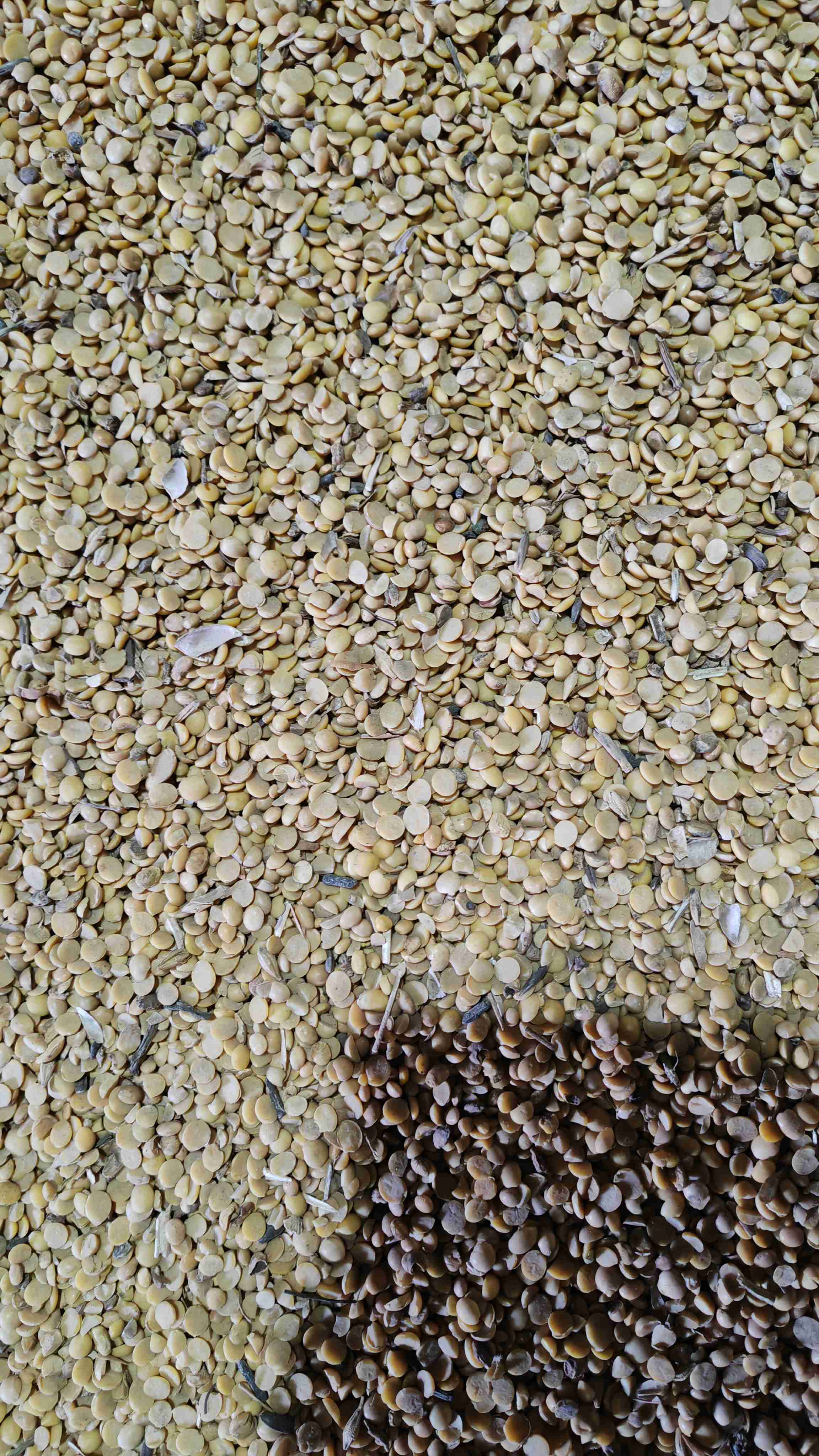 Фотография Соевые отходы