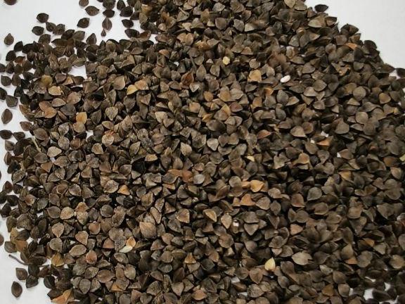 Фотография Продается гречиха, сухая, 1 класс