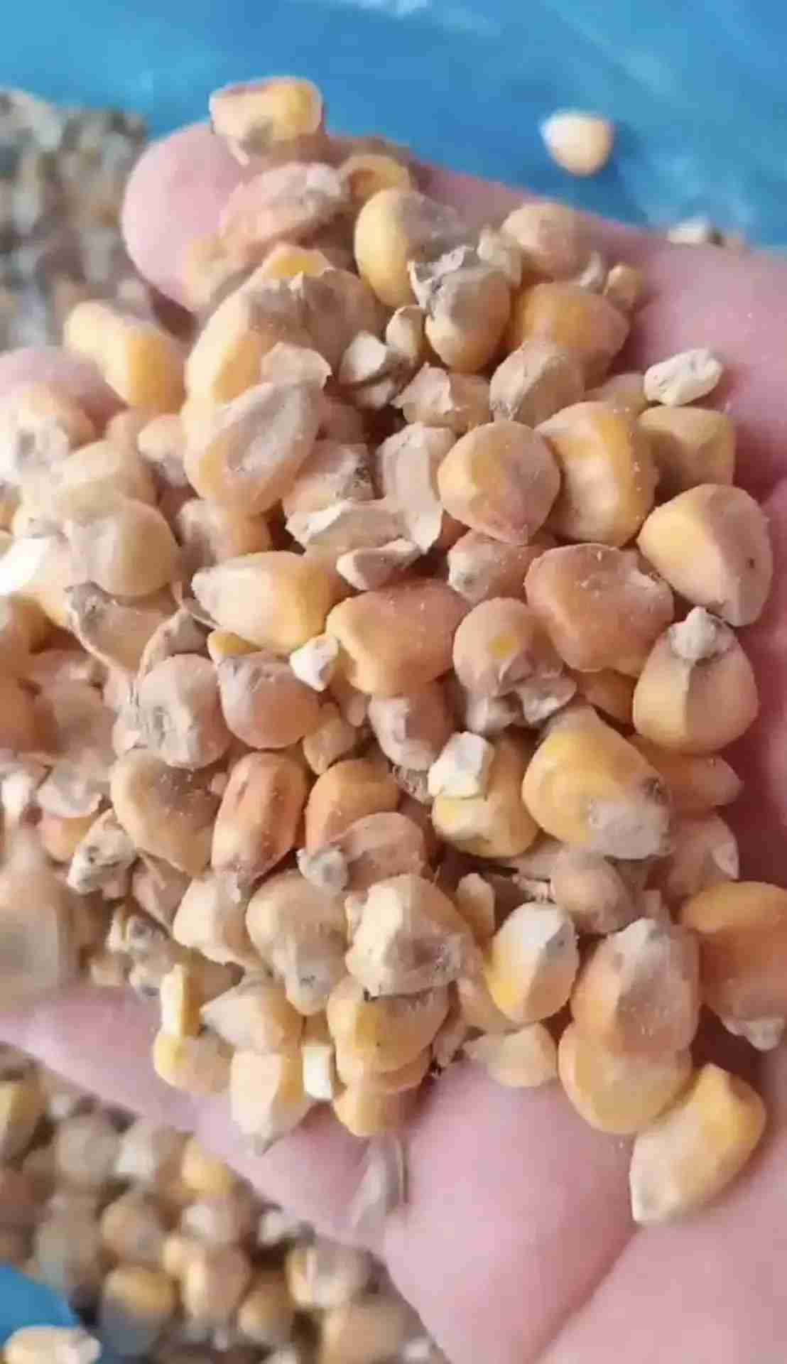 Главное изображение