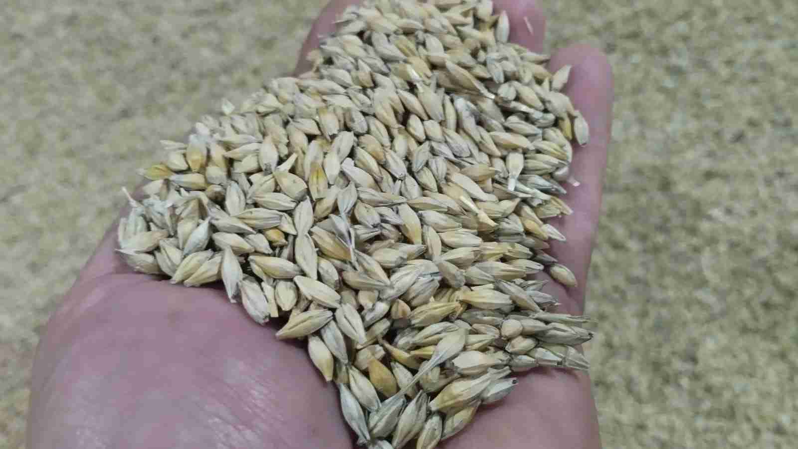 Слайдер справа