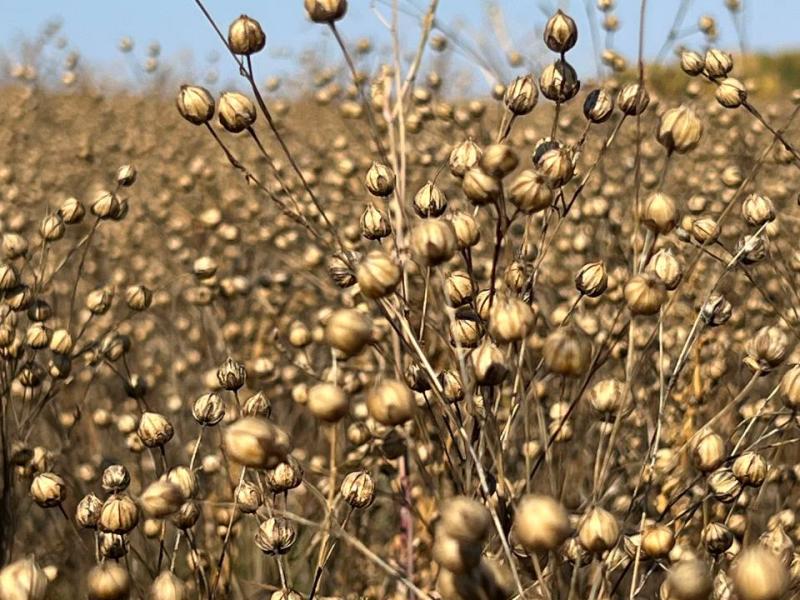 Слайдер слева