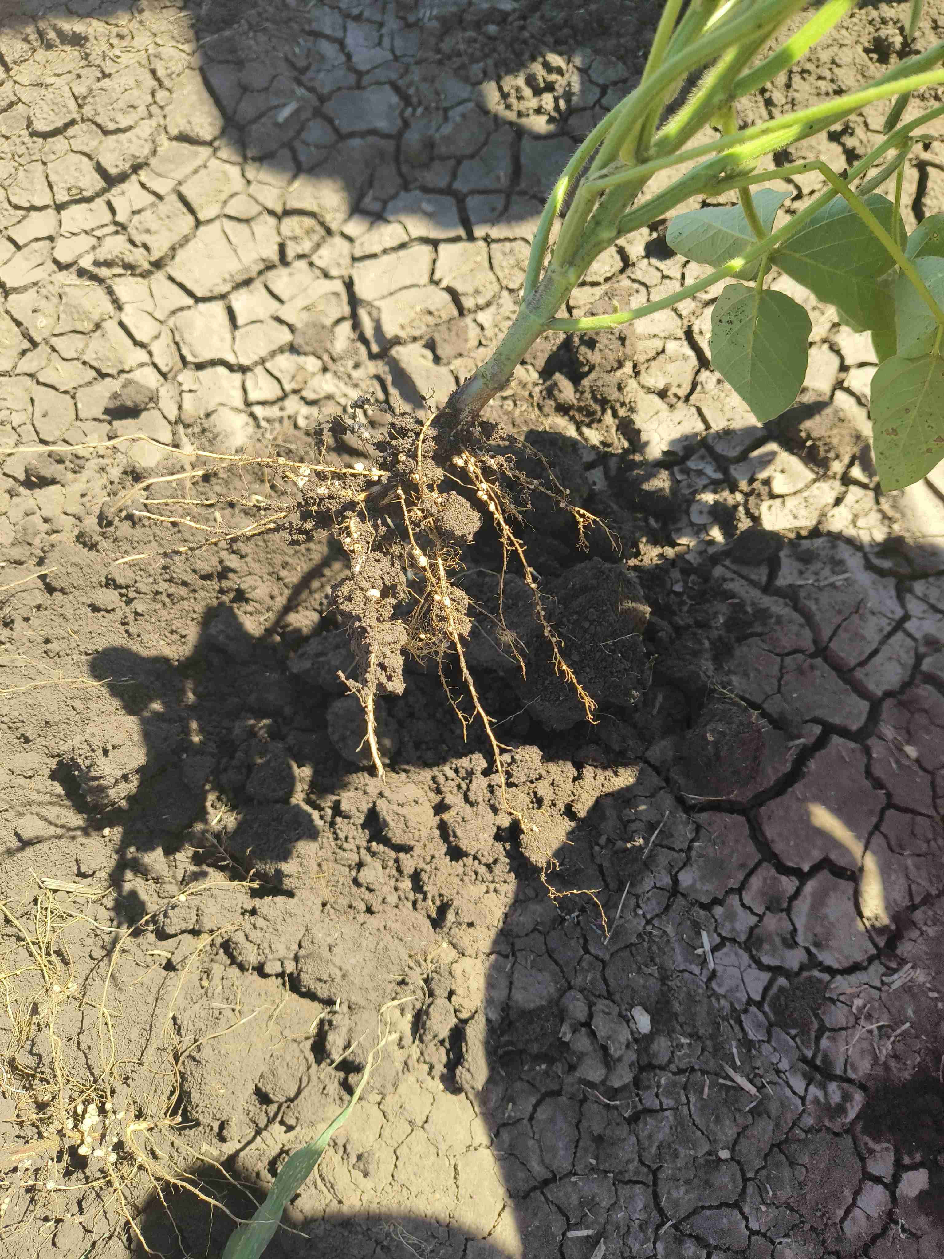 Слайдер справа