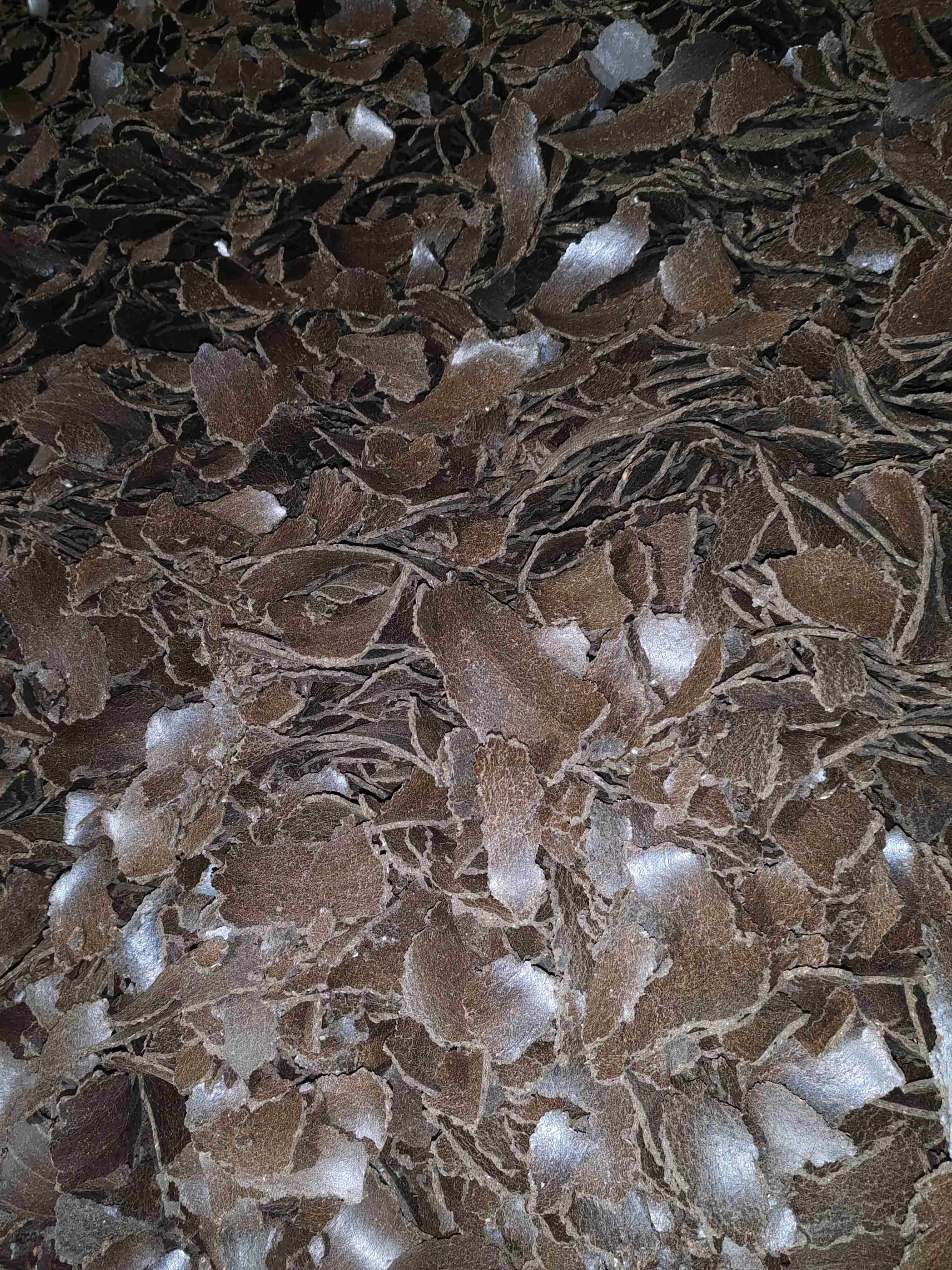 Фотография Жмых рапсовый.