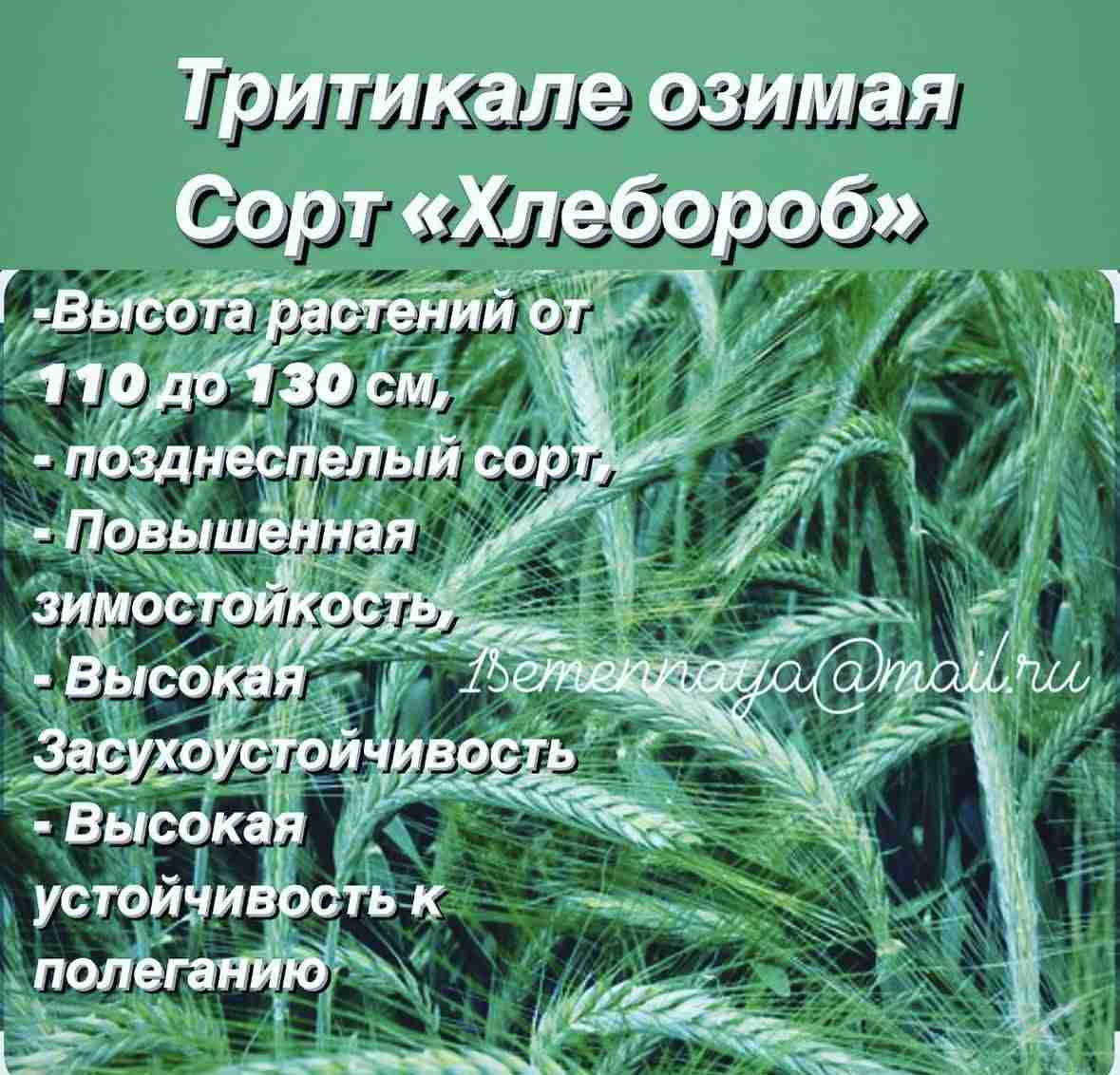 Слайдер слева