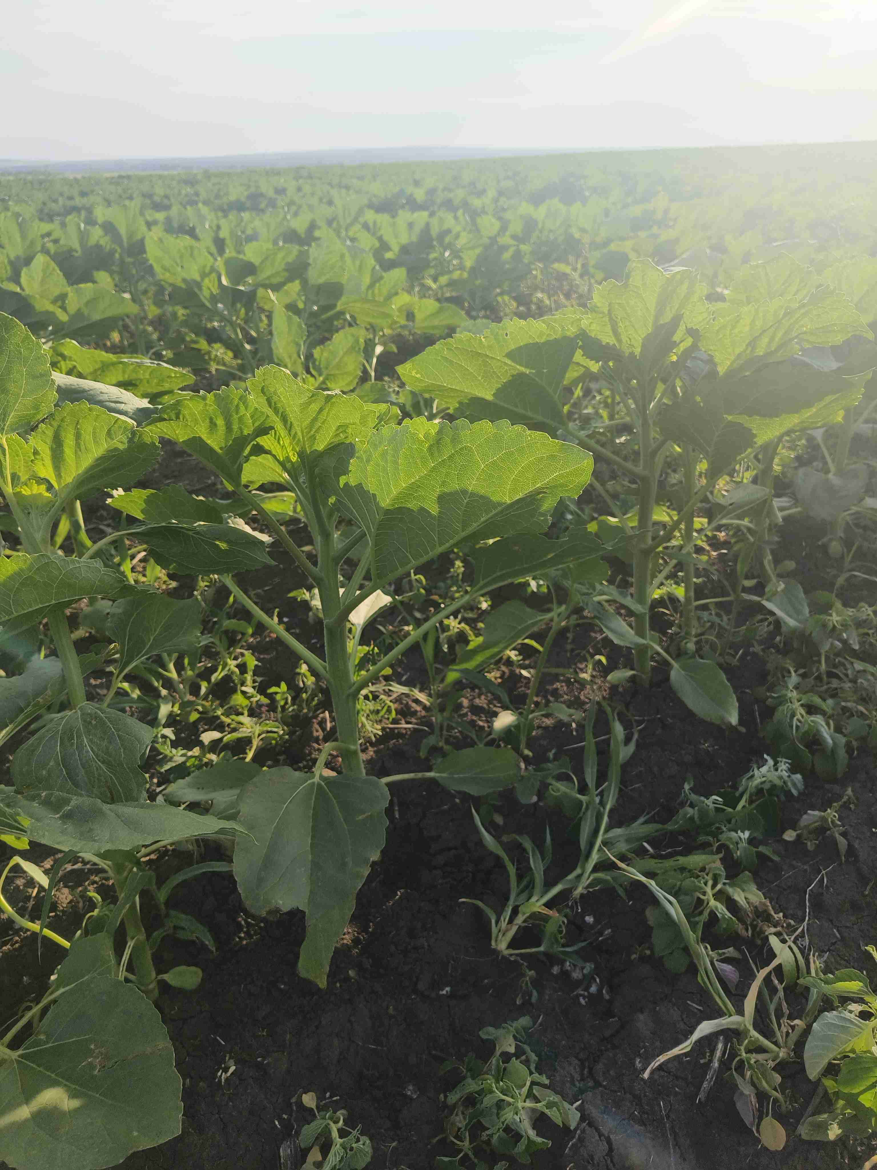 Слайдер слева