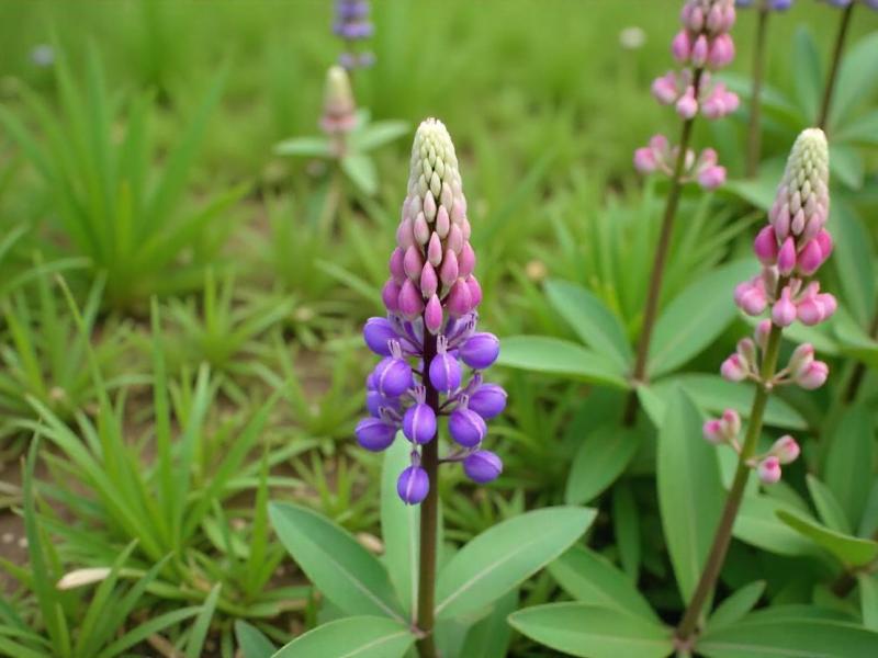 Слайдер слева