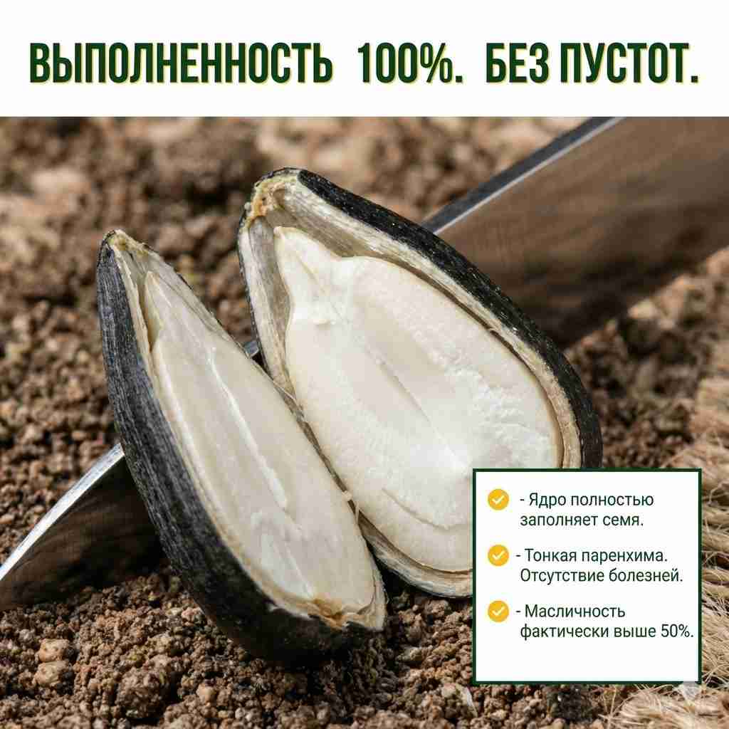 Слайдер справа