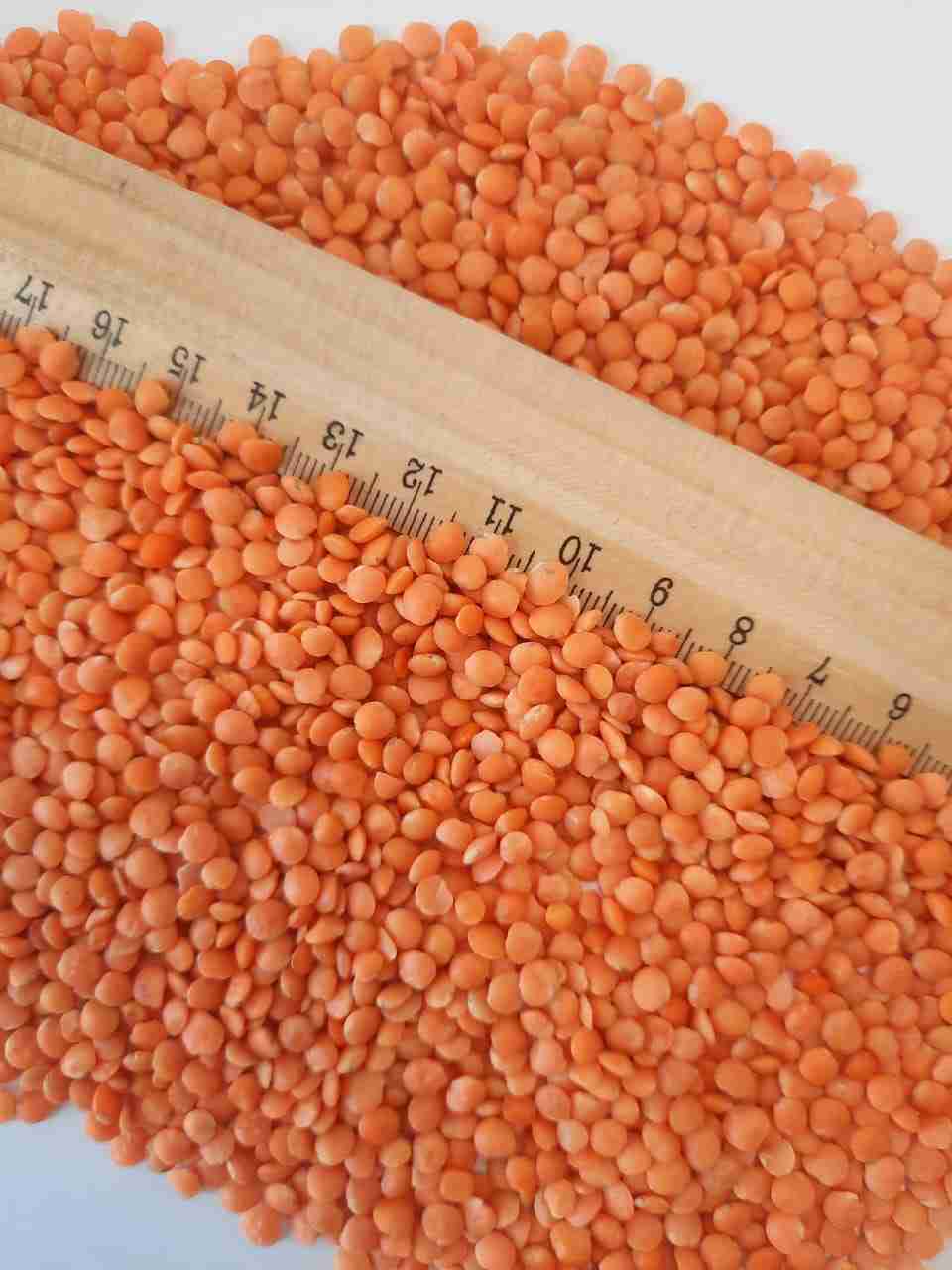 Главное изображение