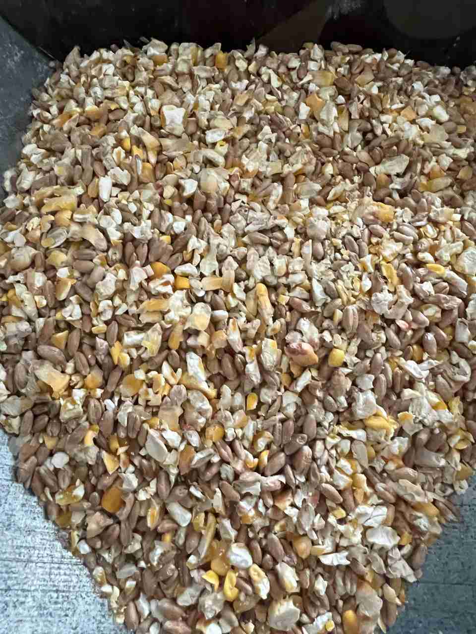 Превью