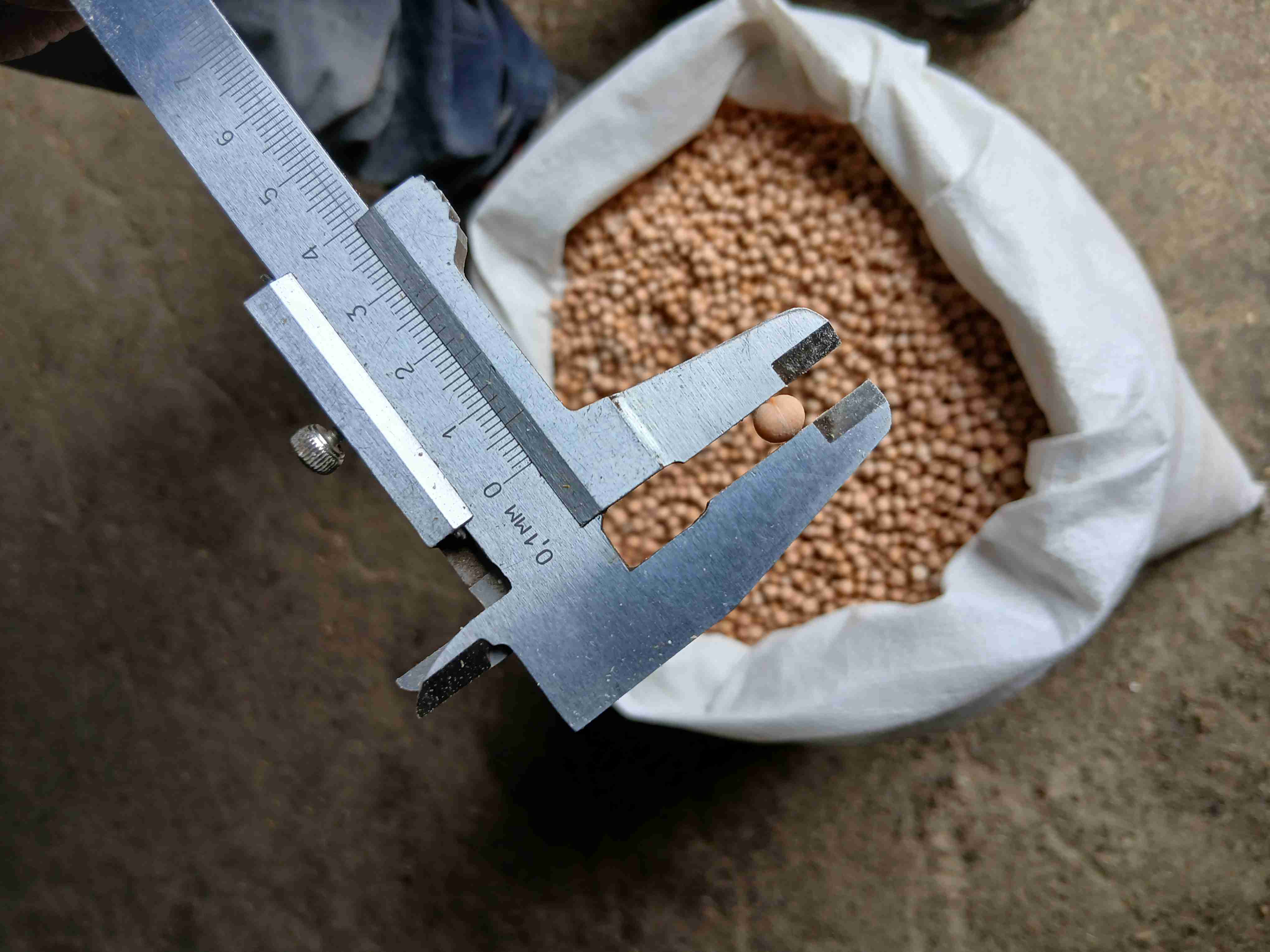 Главное изображение