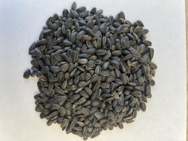 Слайдер слева