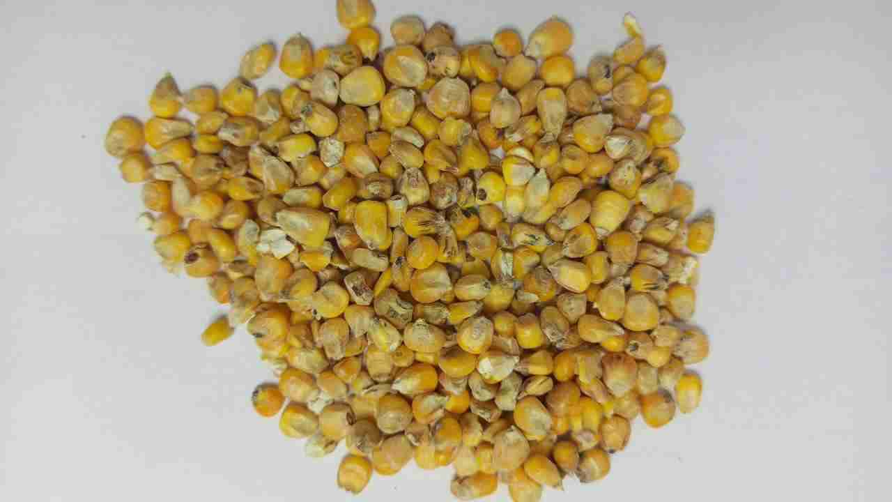 Слайдер слева